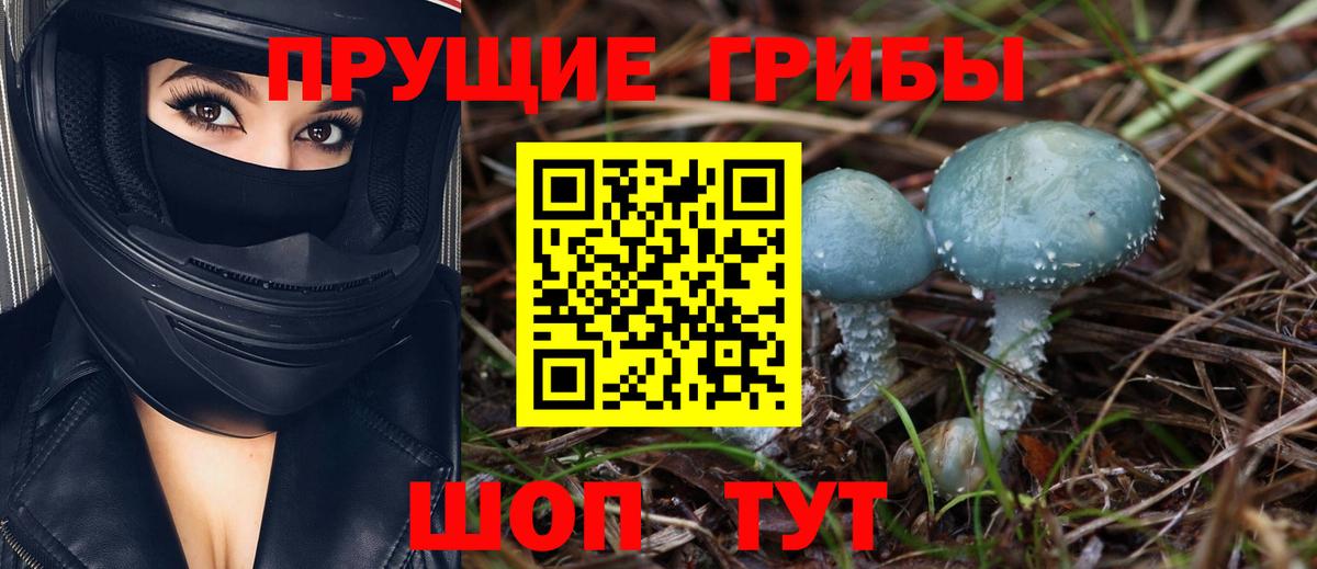 Псилоцибиновые грибы Cubensis Псков