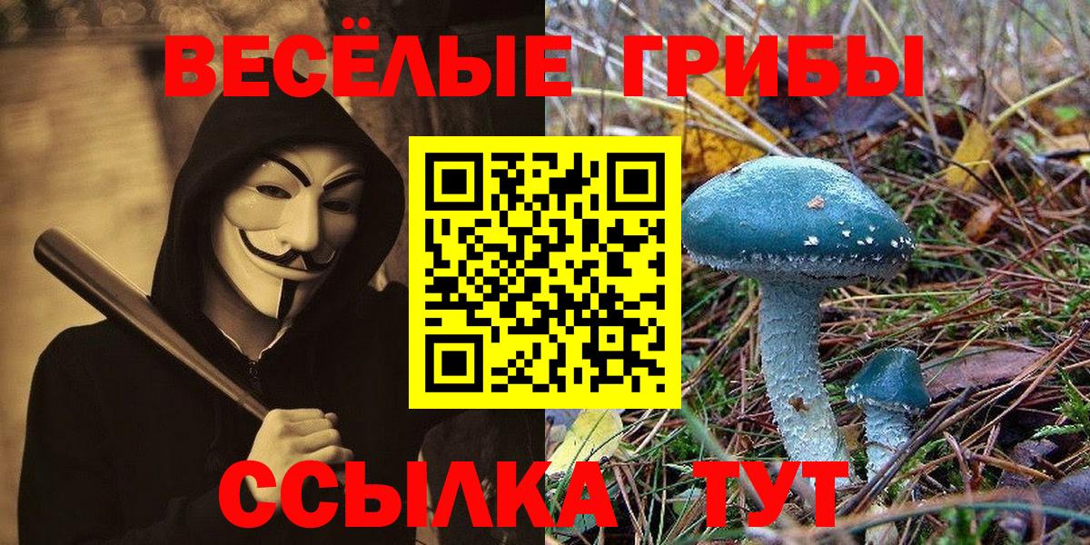Галлюциногенные грибы Psilocybe  Галлюциногенные грибы Cubensis  Вход с VPN  Псков 